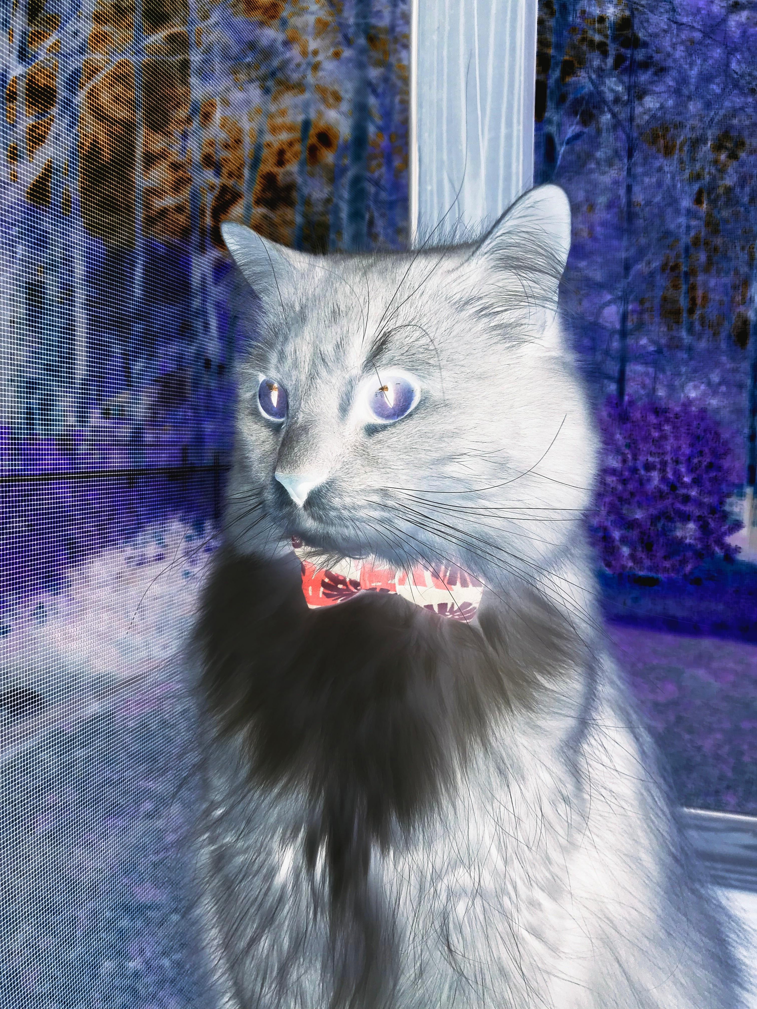 兰斯队员默契配合,连续得分,兰斯足球