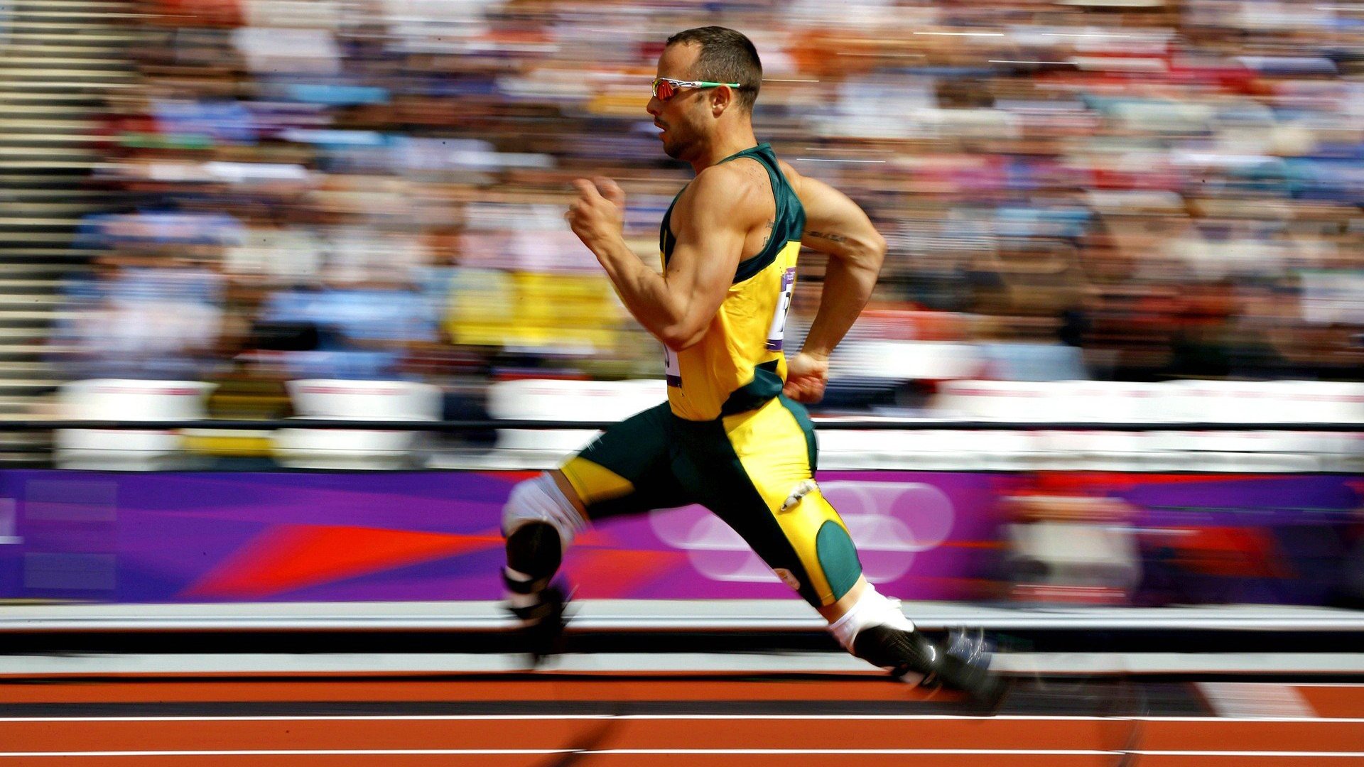 体育新闻中心高光镜头聚焦，体育新闻专题报道